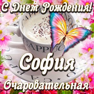 Открытка очаровательной Софии с Днем рождения