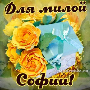 Открытка для милой Софии с подарком и цветами