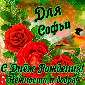 Открытка для Софьи с Днем рождения с пожеланием нежности и добра