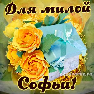 Открытка для милой Софьи с подарком и цветами