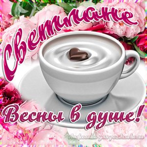 Открытка Светлане на День Рождения с пожеланием весны в душе