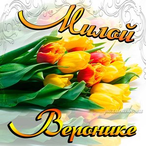 Картинка милой Веронике с днем Рождения с букетом желтых тюльпанов