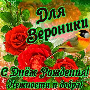 Открытка для Вероники с Днем рождения с пожеланием нежности и добра