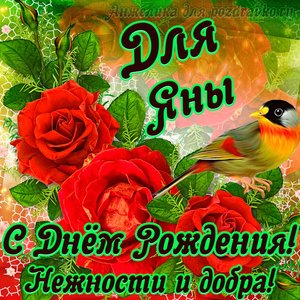 Картинка красотке Яне с Днем рождения с девушкой и желтыми розами