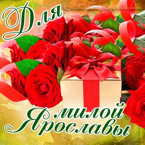 Картинка для милой Ярославы с подарком и розами