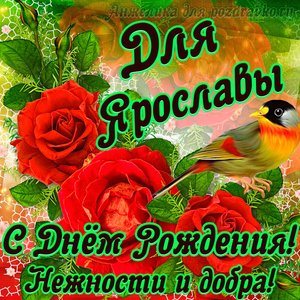 Открытка для Ярославы с Днем рождения с пожеланием нежности и добра