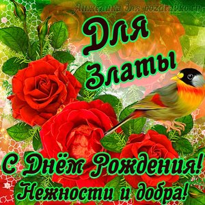 Открытка для Златы с Днем рождения с пожеланием нежности и добра