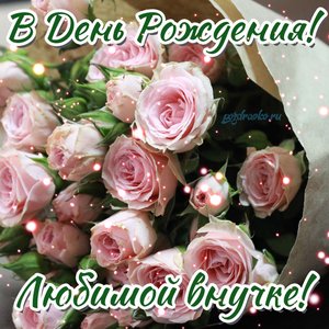 Открытка на день рождения любимой внучке с букетом роз