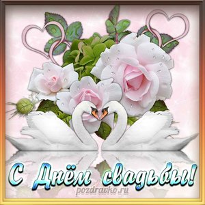 Открытка с Днем Свадьбы с белыми лебедями и белыми розами