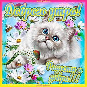 Открытка доброе утро радости и добра!