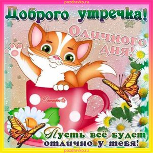Открытка доброго утречка пусть все будет отлично!