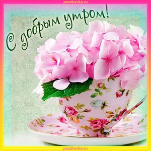 С добрым утром открытка