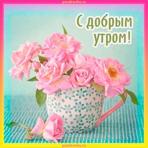 Красивая картинка с добрым утром
