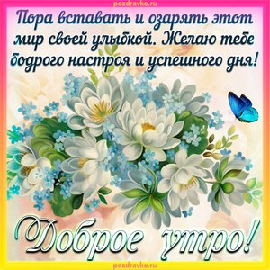 Открытка с добрым утром и цветами и пожеланием