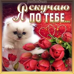 Открытка я скучаю по тебе с милым котенком и букетом цветов