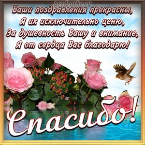 Открытка спасибо за поздравления с цветами
