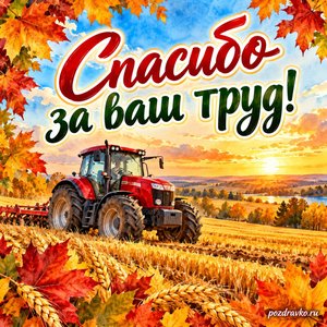 Открытка «Спасибо за ваш труд!» с трактором в золотом поле в рамке из кленовых листьев