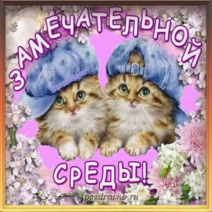 Открытка замечательной среды с котиками и цветами