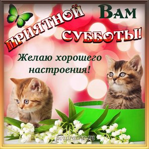 Открытка приятной вам субботы с котятами и пожеланием хорошего настроения