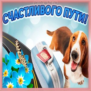 Красивая картинка счастливого пути с чемоданом и собачкой