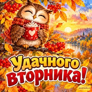 Открытка «Удачного вторника!» с совой и какао