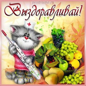 Картинка выздоравливай с фруктами и кошкой