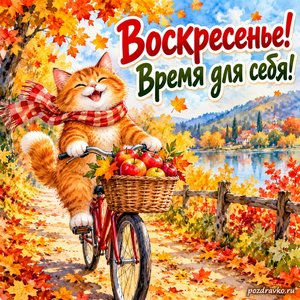 Открытка «Воскресенье! Время для себя!» с котом на велосипеде