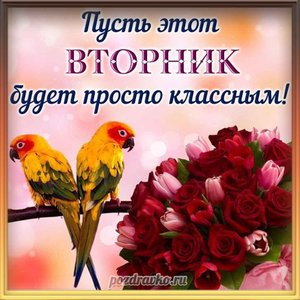 Картинка пусть этот вторник будет классным