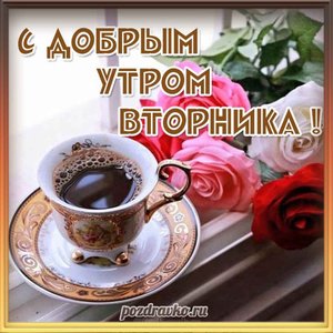 Открытка с добрым утром вторника