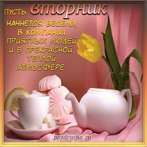 Открытка на вторник с тюльпаном и пожеланием