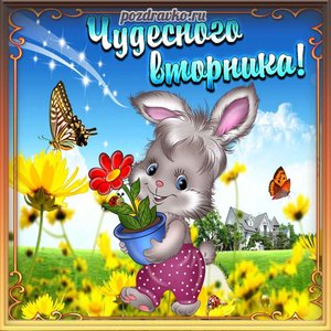 Красивая картинка чудесного вторника с зайчиком и цветами