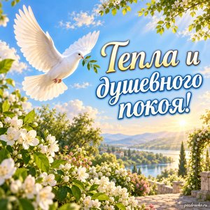 Празднование Владимирской иконы Божией Матери — открытка «Тепла и душевного покоя!» с голубем над зелёным садом
