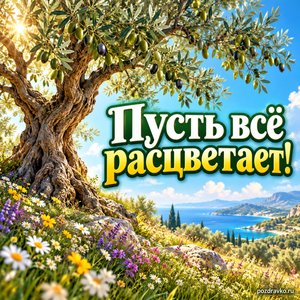 Всемирный день оливкового дерева — открытка «Пусть всё расцветает!» цветущие травы под оливковым деревом