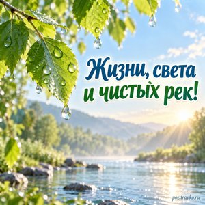 Всемирный день водных ресурсов — открытка «Жизни, света и чистых рек!» дождевые капли на листьях Всемирный день водных ресурсов — открытка «Жизни, света и чистых рек!» дождевые капли на листьях