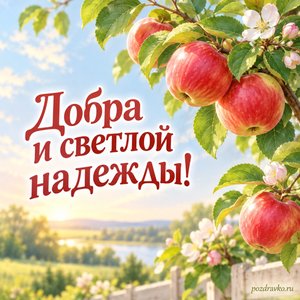 Яблочный Спас — Преображение Господне — открытка «Добра и светлой надежды!» с зелёными листьями и красными яблоками